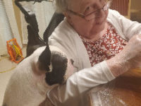 Fregonese, Velma Norma (nee Chicarelli)