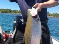 Bryant, Damien Melvin Grenville