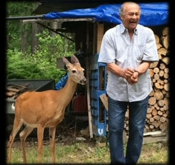 Battistelli, Franco Antonio