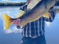 In Loving Memory of Rick Weaver, 66 years.