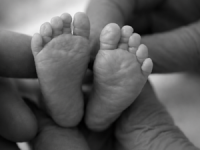 Valiquette, Ellie Olivia